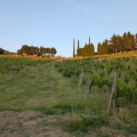 Amici Miei Farm stay