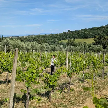 Amici Miei Farm stay *